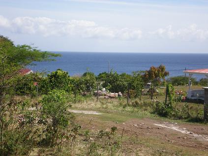 View of adjacent lot from property